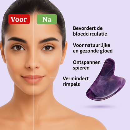 lang:NL