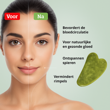 lang:NL