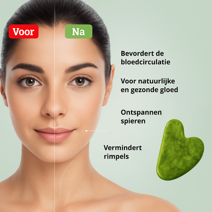 lang:NL