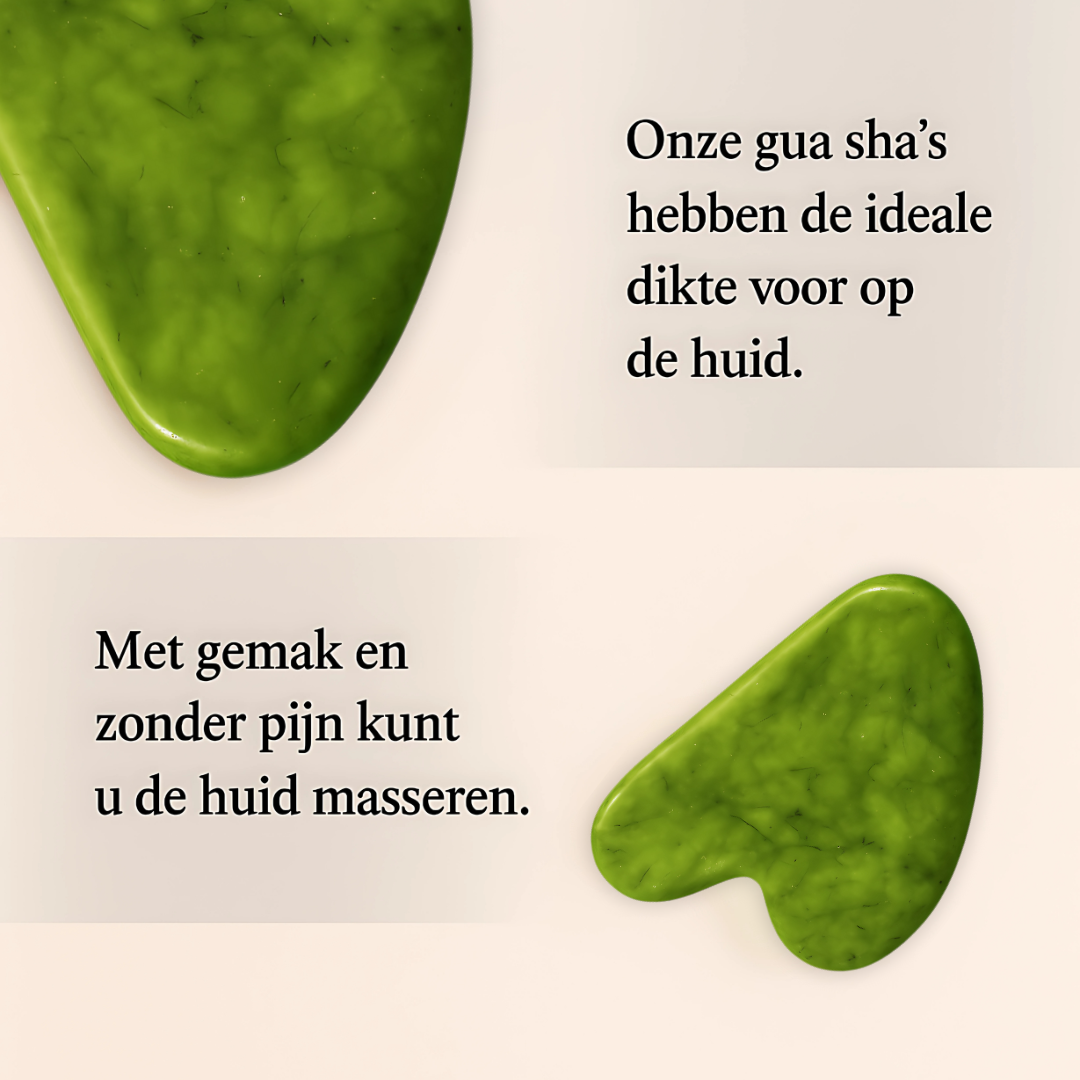 lang:NL